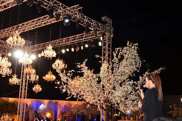 Wedding of Toni Akar